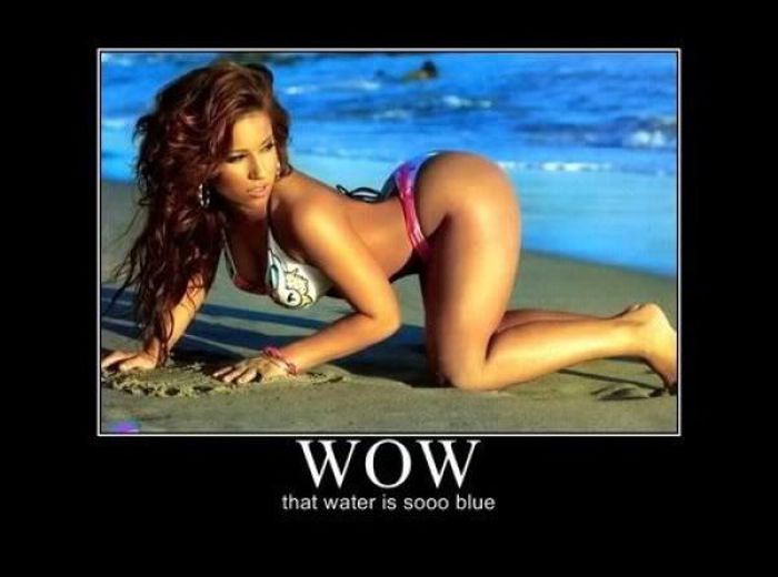 Funny Demotivational Posters (32 pics)