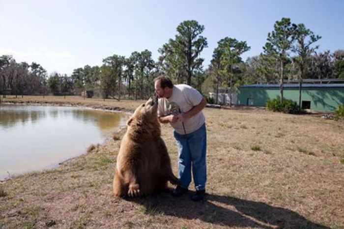 The Maximum Level of Awesomeness (42 pics)