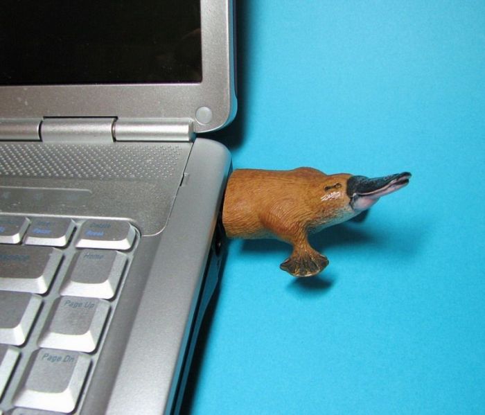 Creative USB Sticks (103 pics)