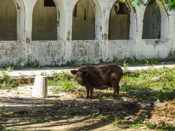 Abandoned Islands of Colombian Drug Lords (34 pics)