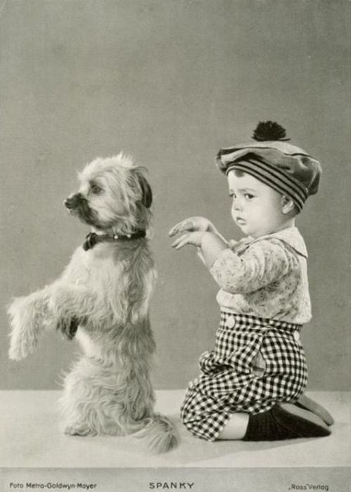 Awkward Vintage Photos Of Animals (30 pics)