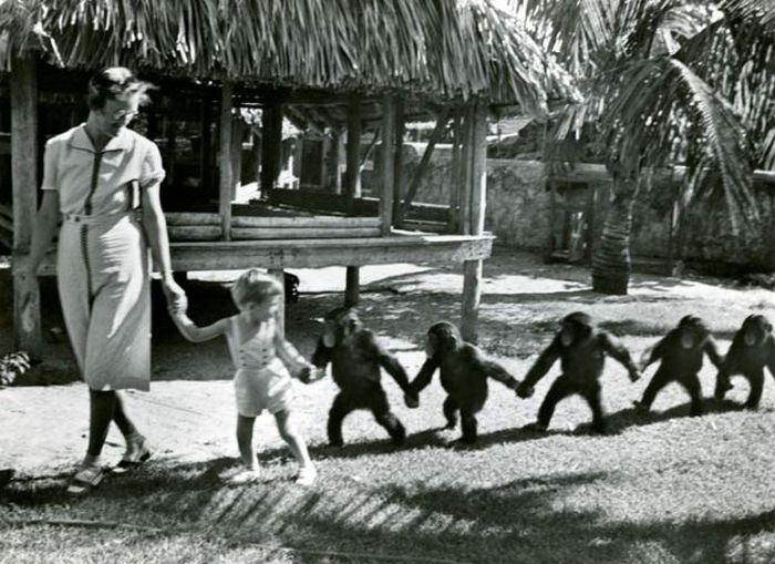 Awkward Vintage Photos Of Animals (30 pics)