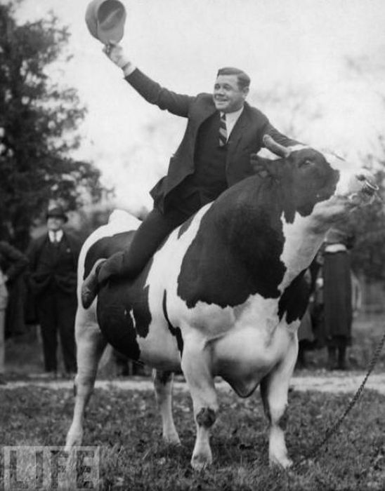 Awkward Vintage Photos Of Animals (30 pics)