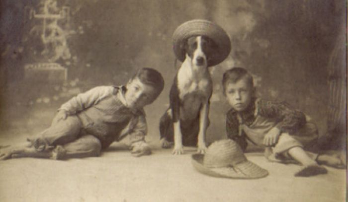 Awkward Vintage Photos Of Animals (30 pics)