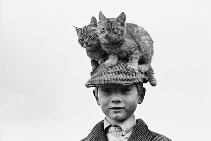 Awkward Vintage Photos Of Animals (30 pics)