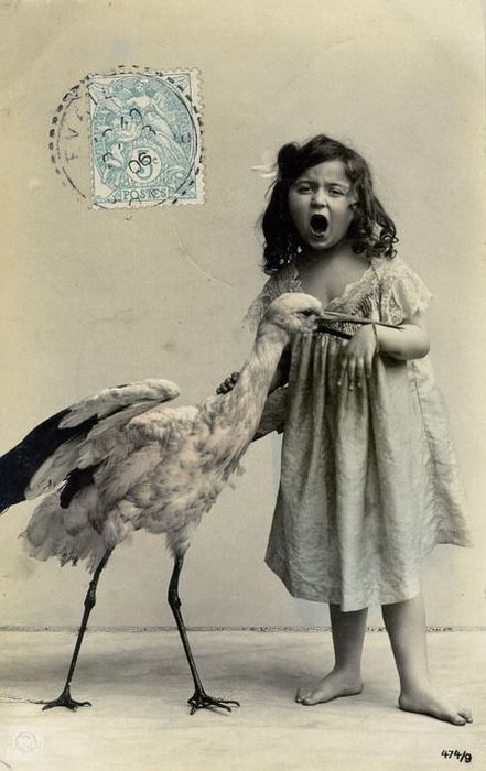 Awkward Vintage Photos Of Animals (30 pics)