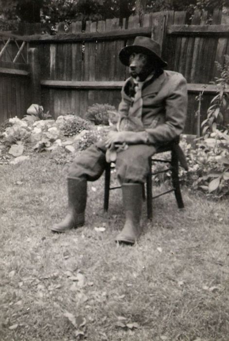 Awkward Vintage Photos Of Animals (30 pics)