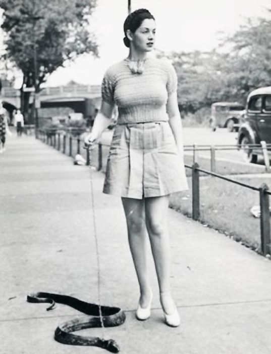 Awkward Vintage Photos Of Animals (30 pics)