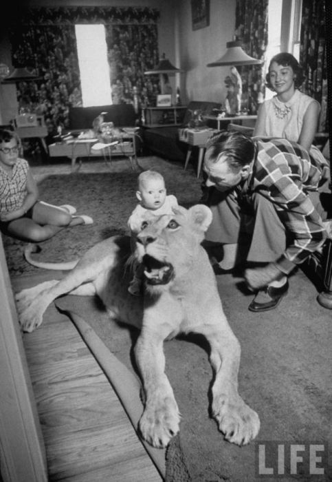 Awkward Vintage Photos Of Animals (30 pics)