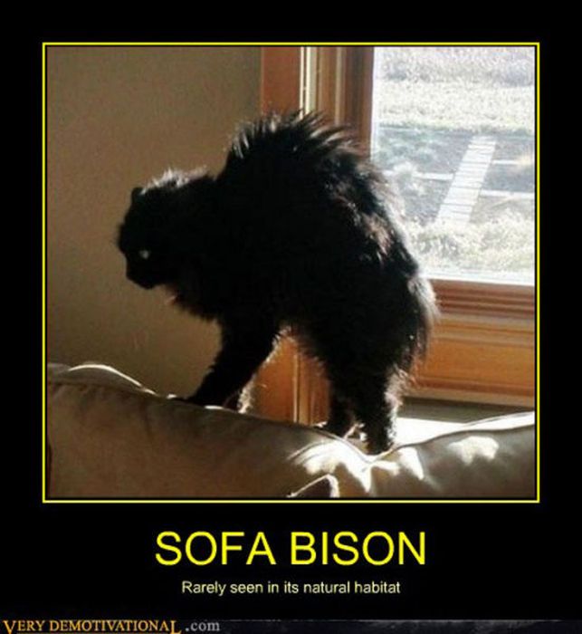Funny Demotivational Posters (36 pics)