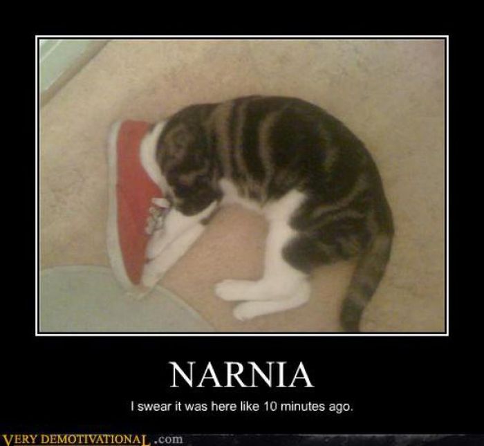 Funny Demotivational Posters (36 pics)