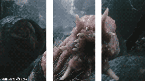 Amazing 3D Gifs (29 gifs)