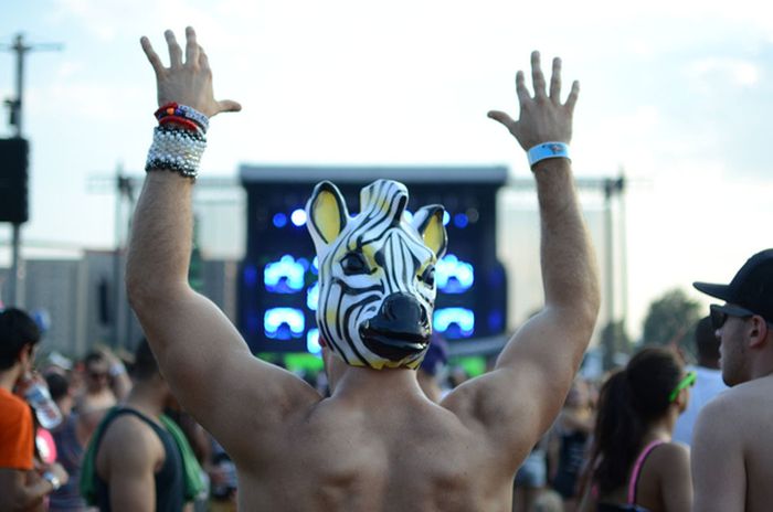 Ravers (64 pics)