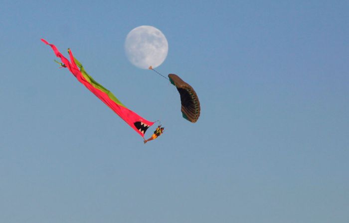 Burning Man 2012 Photos (40 pics)