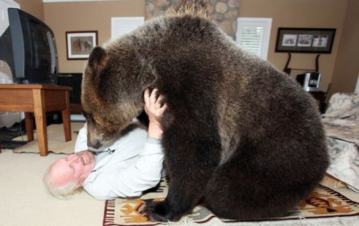 Pet Grizzly Bear (19 pics)