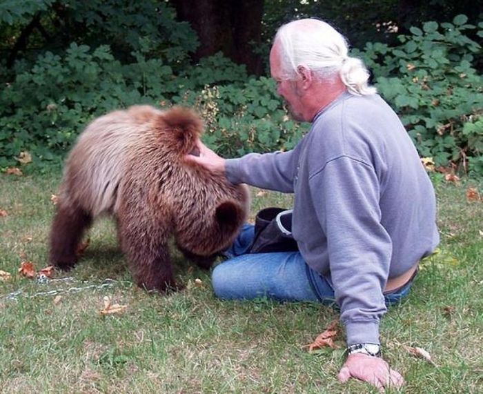 Pet Grizzly Bear (19 pics)