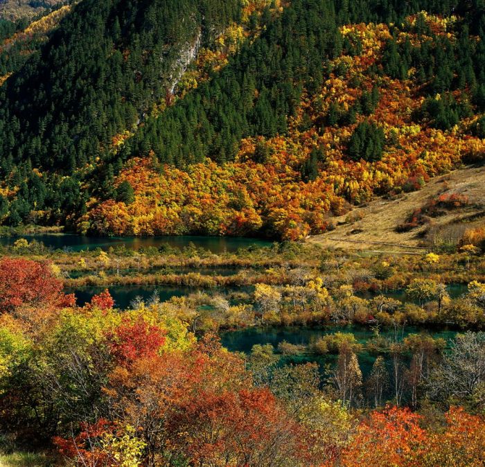China by Thierry Bornier (23 pics)