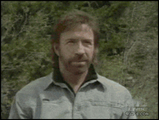 Chuck Norris GIFs (15 gifs)