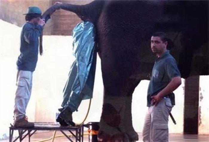 The Worst Jobs Ever (50 pics)