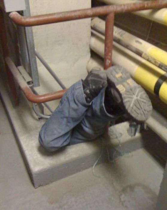 The Worst Jobs Ever (50 pics)