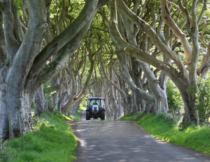 Beautiful Road in Ireland (16 pics)