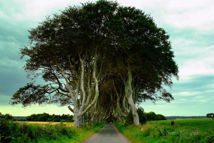 Beautiful Road in Ireland (16 pics)