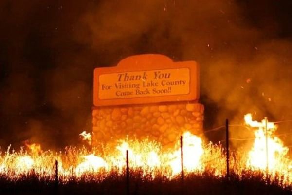 WTF Signs (30 pics)