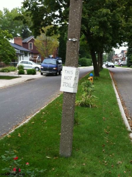 WTF Signs (30 pics)