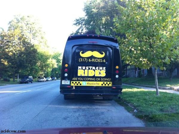 WTF Signs (30 pics)