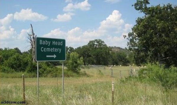 WTF Signs (30 pics)