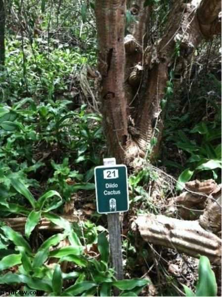 WTF Signs (30 pics)