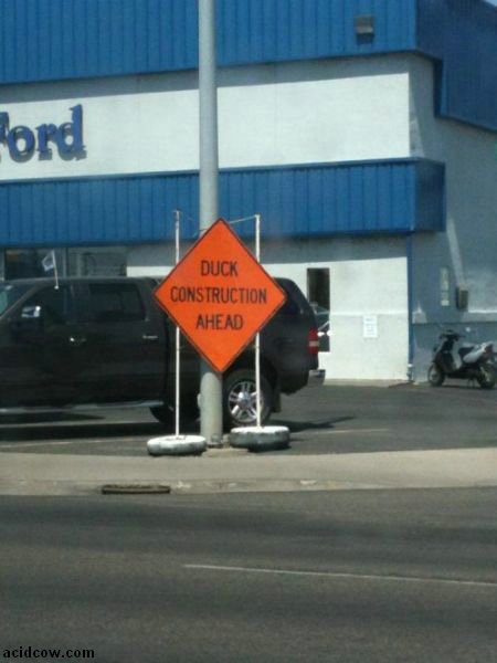 WTF Signs (30 pics)