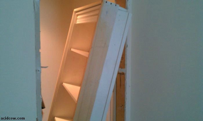 Hidden Door Bookshelf. DIY (16 pics)