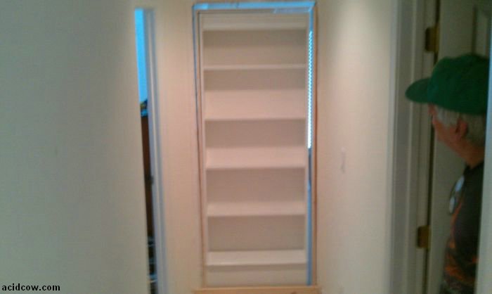 Hidden Door Bookshelf. DIY (16 pics)