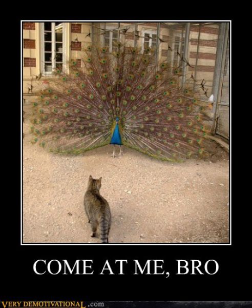 Funny Demotivational Posters (34 pics)