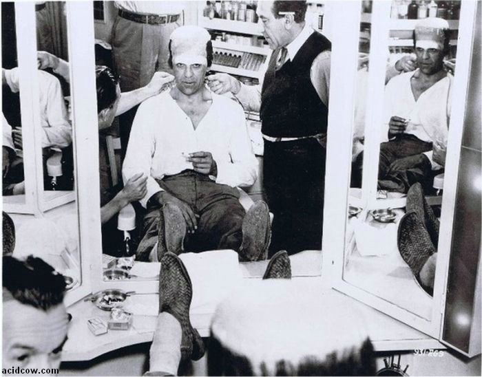 Frankenstein. Behind the Scenes (31 pics)