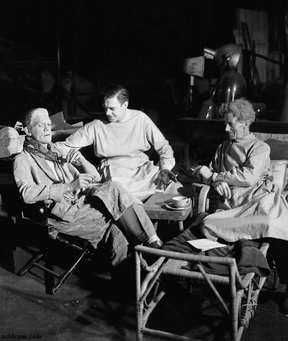 Frankenstein. Behind the Scenes (31 pics)