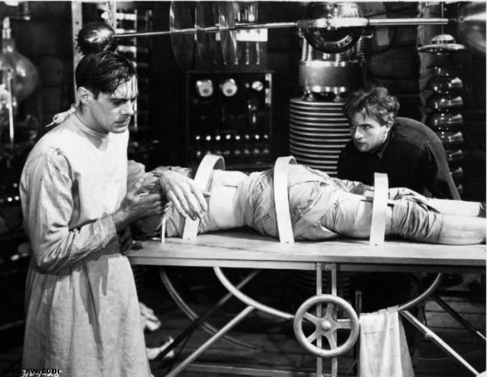 Frankenstein. Behind the Scenes (31 pics)