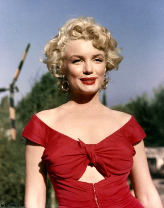 Photos of Marilyn Monroe (47 pics)