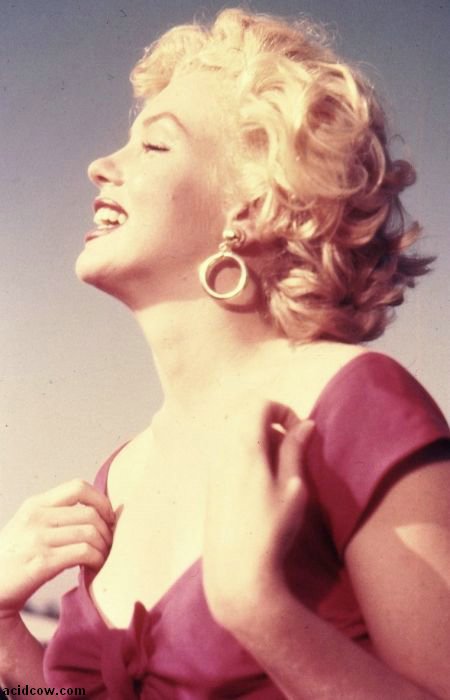 Photos of Marilyn Monroe (47 pics)