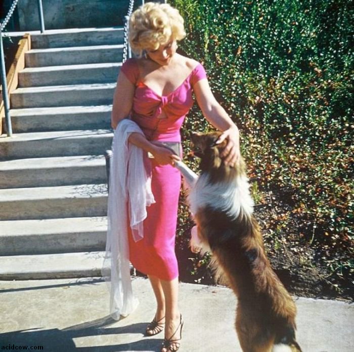 Photos of Marilyn Monroe (47 pics)