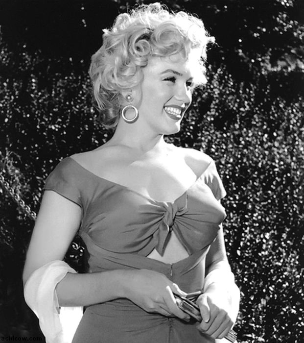 Photos of Marilyn Monroe (47 pics)