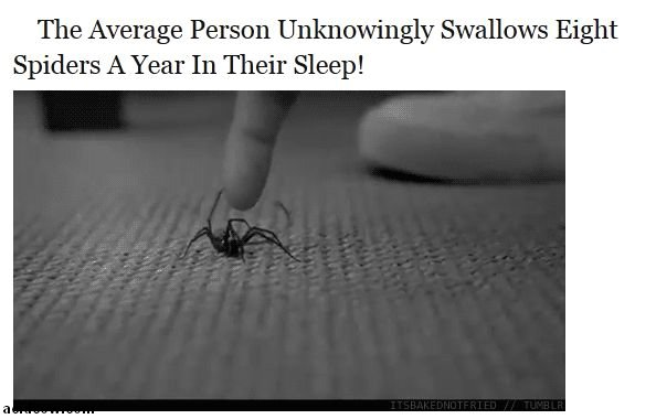 Common Misconceptions (28 pics)