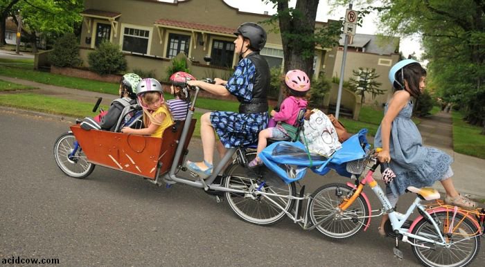 How to Take Six Kids to School with a Bike (8 pics)