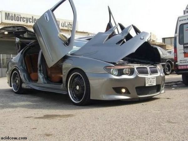 BMW with Crazy Doors (9 pics)