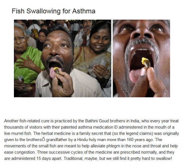 Bizarre Medical Treatments Involving Animals (10 pics)