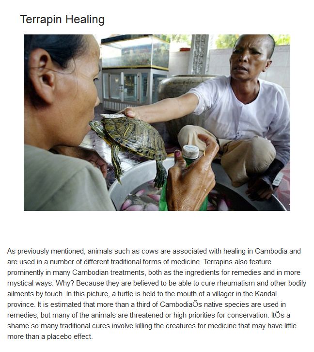 Bizarre Medical Treatments Involving Animals (10 pics)