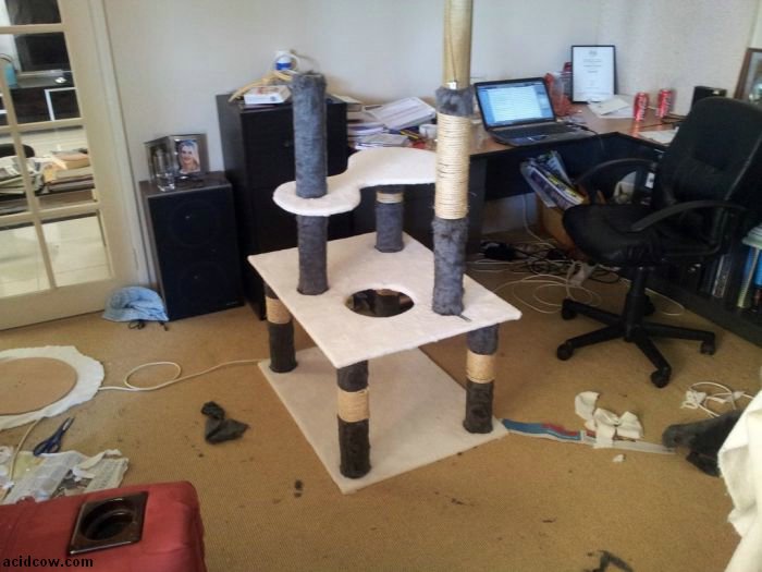 DIY Cat Tower (13 pics)