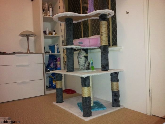 DIY Cat Tower (13 pics)