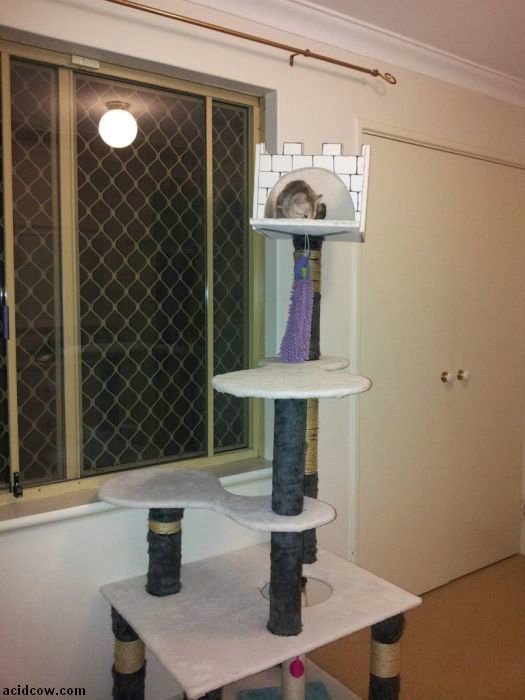 DIY Cat Tower (13 pics)